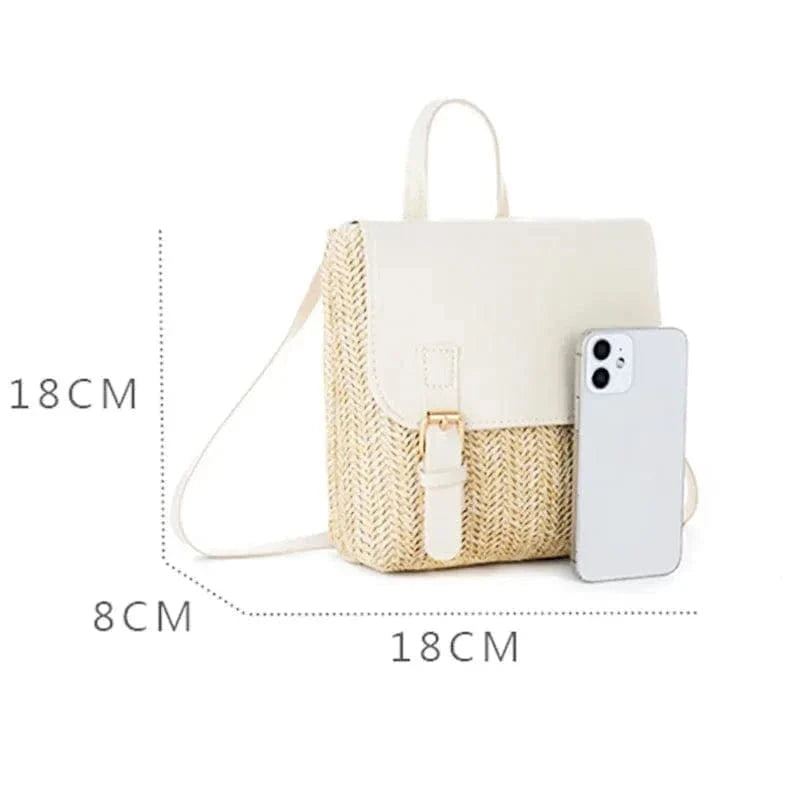 Mini Straw Backpack | Fanny